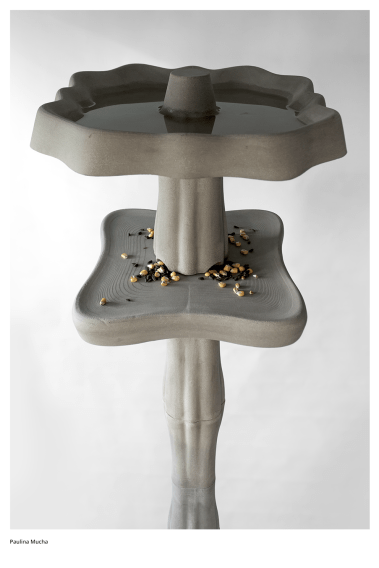 Dyplom projektowy Pauliny Muchy