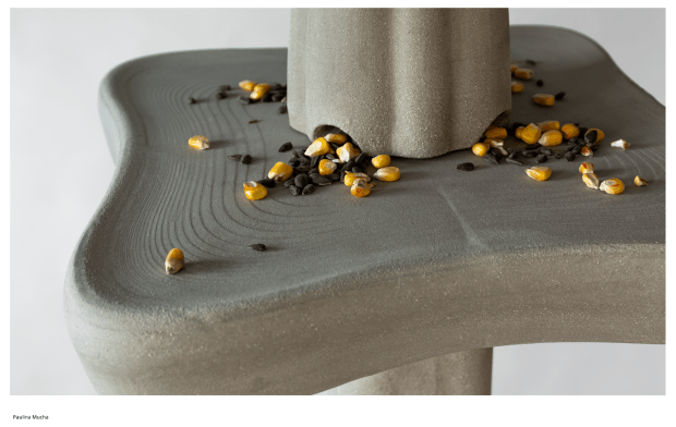 Dyplom projektowy Pauliny Muchy