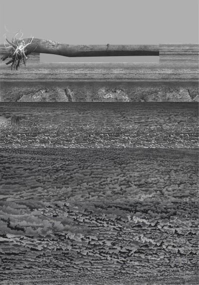 Podróż do Taurydy Podróż do Taurydy