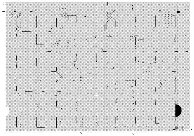 Piotr Pająk Piotr Pająk