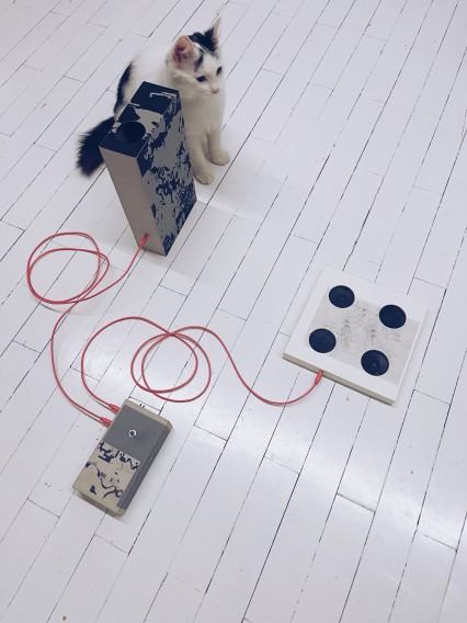 Piotr Pająk Piotr Pająk