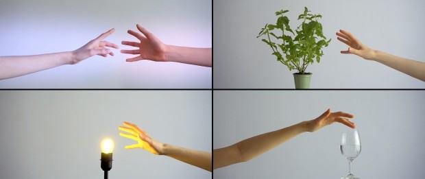 Wiktoria Łebek, Jak pokazać to czego pokazać nie można, 2021 