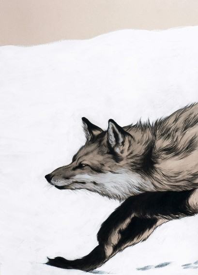 pracownia-ilustracji_191557222_142912767878164_5959899750853591277_n.jpg Pracownia Ilustracji-realizacje