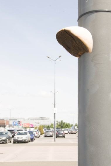 cebrat_helena_gryzb_indykator_2055.