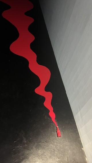 Muzeum INHOTIM, zdj. Robert Sochacki