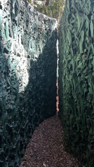 Muzeum INHOTIM, zdj. Robert Sochacki