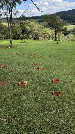 Muzeum INHOTIM, zdj. Robert Sochacki