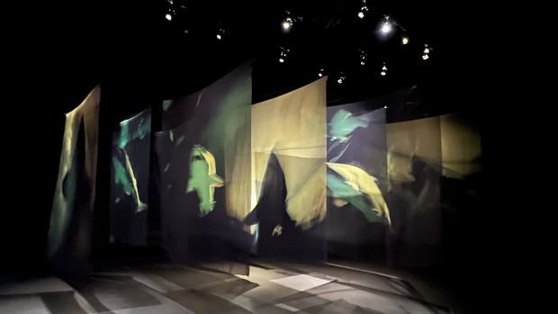 Muzeum INHOTIM, zdj. Robert Sochacki