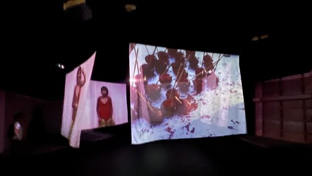 Muzeum INHOTIM, zdj. Robert Sochacki