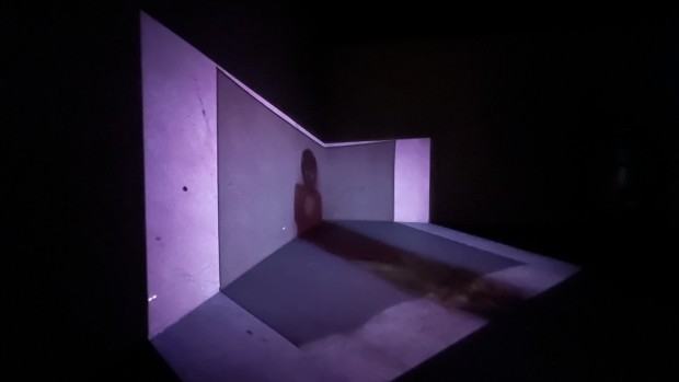 Muzeum INHOTIM, zdj. Robert Sochacki