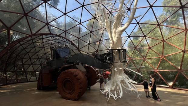 Muzeum INHOTIM, zdj. Robert Sochacki