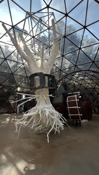 Muzeum INHOTIM, zdj. Robert Sochacki