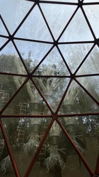 Muzeum INHOTIM, zdj. Robert Sochacki