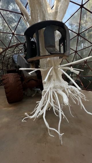 Muzeum INHOTIM, zdj. Robert Sochacki