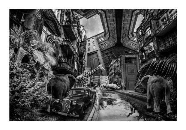 Tomasz Chołuj, Życiowy zakręt, 2020 Tomasz Chołuj, Życiowy zakręt, 2020