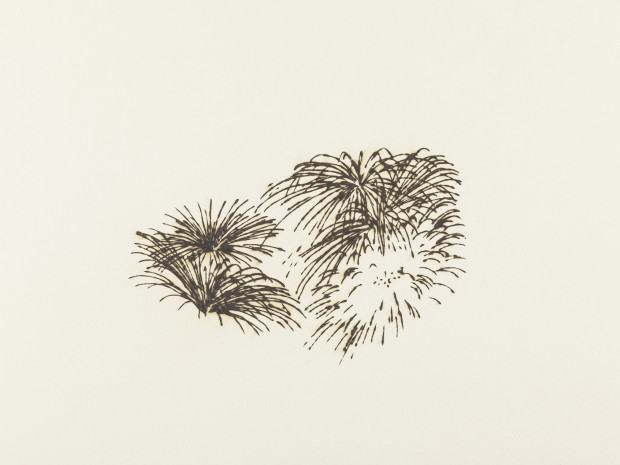 Tropiąc Słońce. Tomasz Dobiszewski