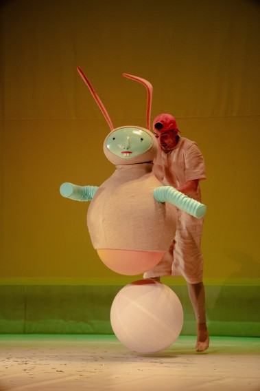 mgr Katarzyna Leks, as.