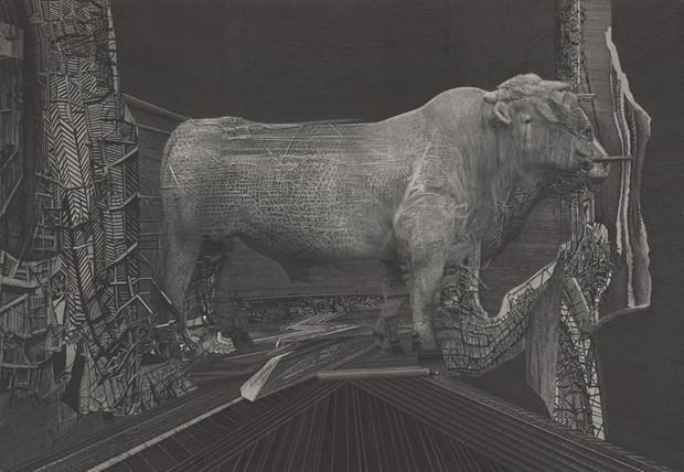 prof. Paweł Frąckiewicz