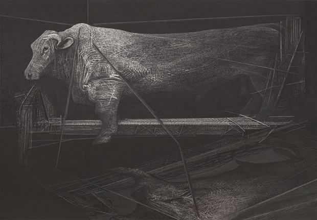 prof. Paweł Frąckiewicz