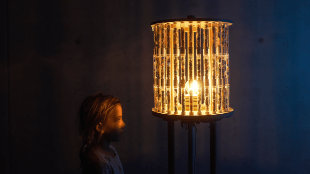 dr hab. Dominika Sobolewska, prof. ASP