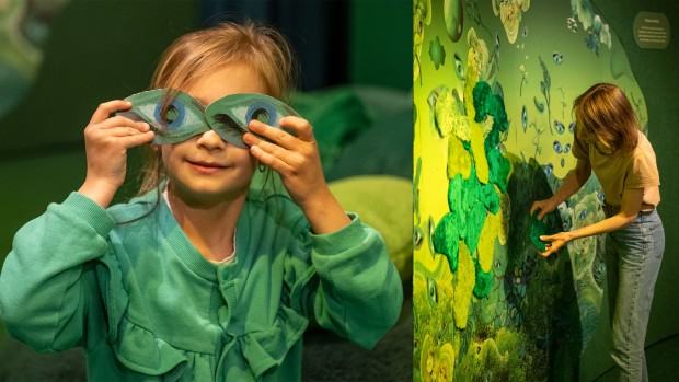 Spektrum Światła / Ekspozycja na kolor. Zielony Spektrum Światła / Ekspozycja na kolor. Zielony