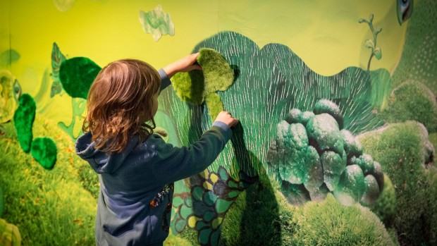 Spektrum Światła / Ekspozycja na kolor. Zielony Spektrum Światła / Ekspozycja na kolor. Zielony