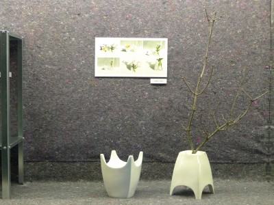 Ceramiczny Obiekt Wielofunkcyjny