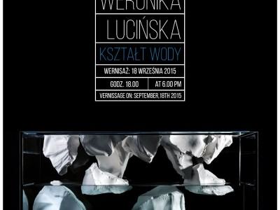 Kształt wody-plakat