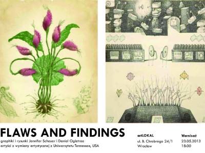 FLAWS AND FINDINGS