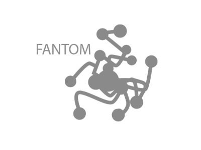 fantom