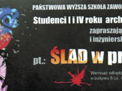 Ślad w przestrzeni 2013