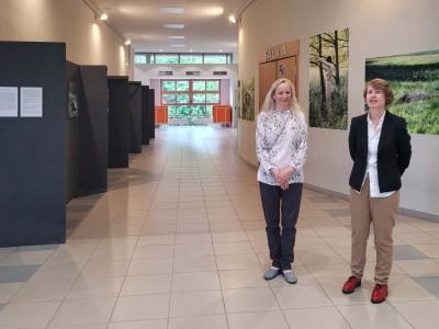 Ewa Martyniszyn, O doświadczeniu bezpośrednim i jego braku