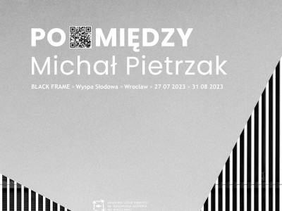 Michał Pietrzak Po Miedzy