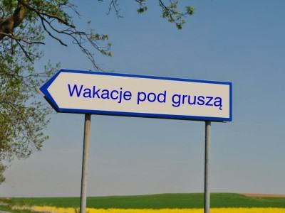 Wczasy pod gruszą