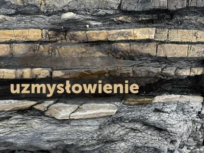 Uzmysłowienie 