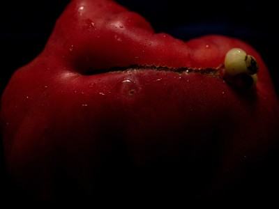 Veronika Lukášová | Market forces / Ways of flesh