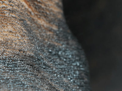 Zuzanna Dyrda, Ciało obce