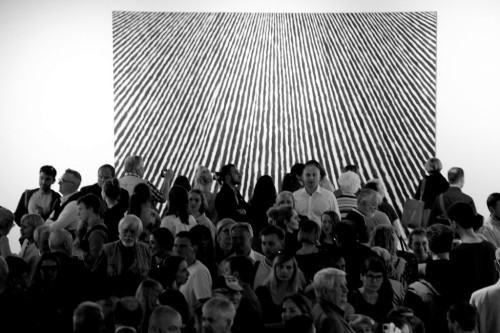 00533700.jpg fot. B. Dębska