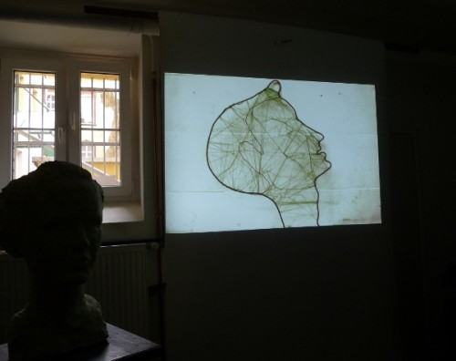 przeglądali się studenci I roku...