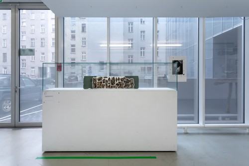 fot. Michał Pietrzak