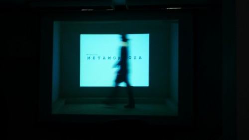 intermedia