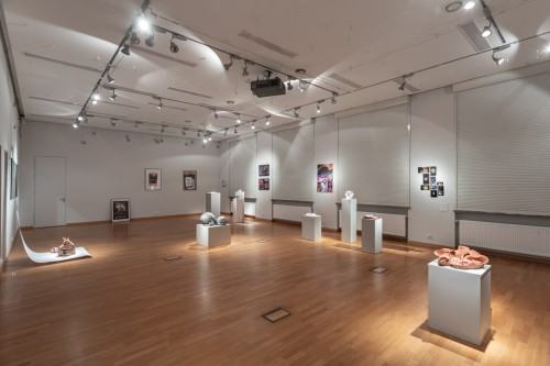 fot. Michał Pietrzak