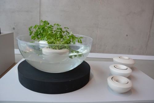 021 CERAMIKA_OBRONY PRAC LICENCJACKICH