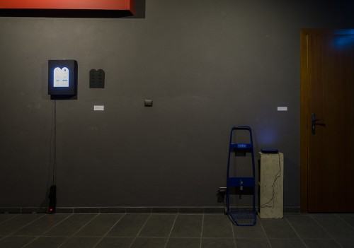 03789904.jpg fot. Michał Pietrzak