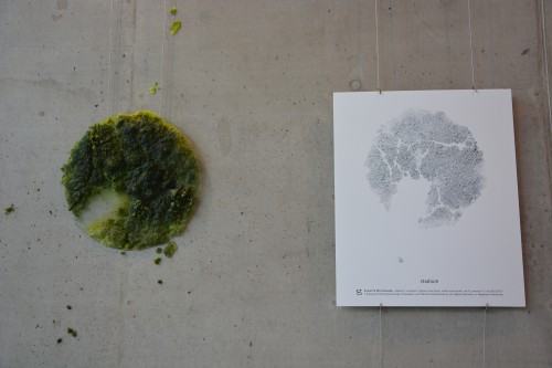 013 WYDZIAŁ CERAMIKI I SZKŁA