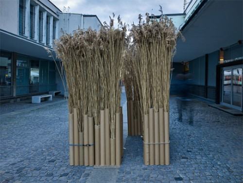 04032434.jpg Jeremi-Buczkowski