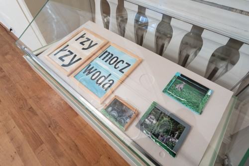 fot. Michał Pietrzak