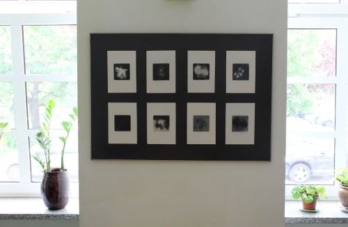 Galeria 3 Ra-My