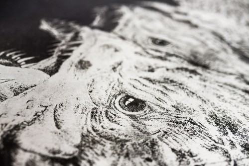 Fragment cordu, fot. Linda Parys