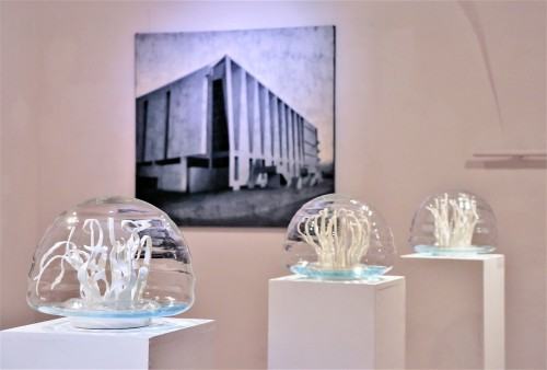 Habitaty - Weronika Lucińska (ceramika) & Joanna Pałys (malarstwo)